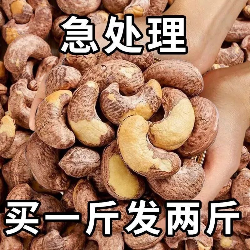 新货越南带皮腰果仁500g袋装坚果零原味干果紫皮带衣腰果孕妇坚果,零食/坚果/特产,腰果,淘宝优惠券,粉丝福利购,淘宝优惠卷