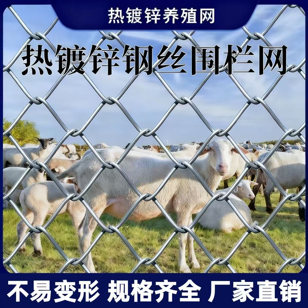 潮流精品，品质保证