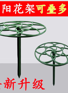 太阳花架塑料可叠多层园艺支撑花架地面种植固定防倒伏绿色