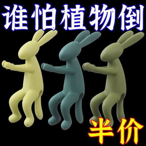 水培兔子固定器植物生长伴侣宽口玻璃花瓶水培植物固定架装饰花器