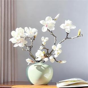 水培玉兰花鲜切枝带花苞红梅干枝水养鲜花卉室内好养耐寒植物盆栽