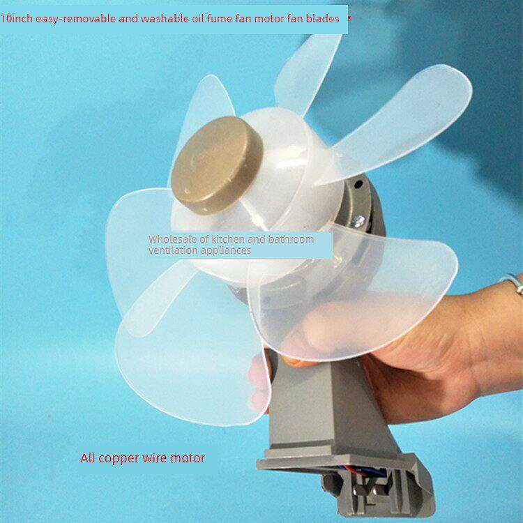 泰胜利10英寸易拆卸和可清洗油烟风扇电机风扇叶片排气风扇通风风