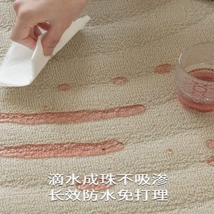 简约奶油风可擦免洗防水高级感卧室沙发地垫 地毯客厅2024新款