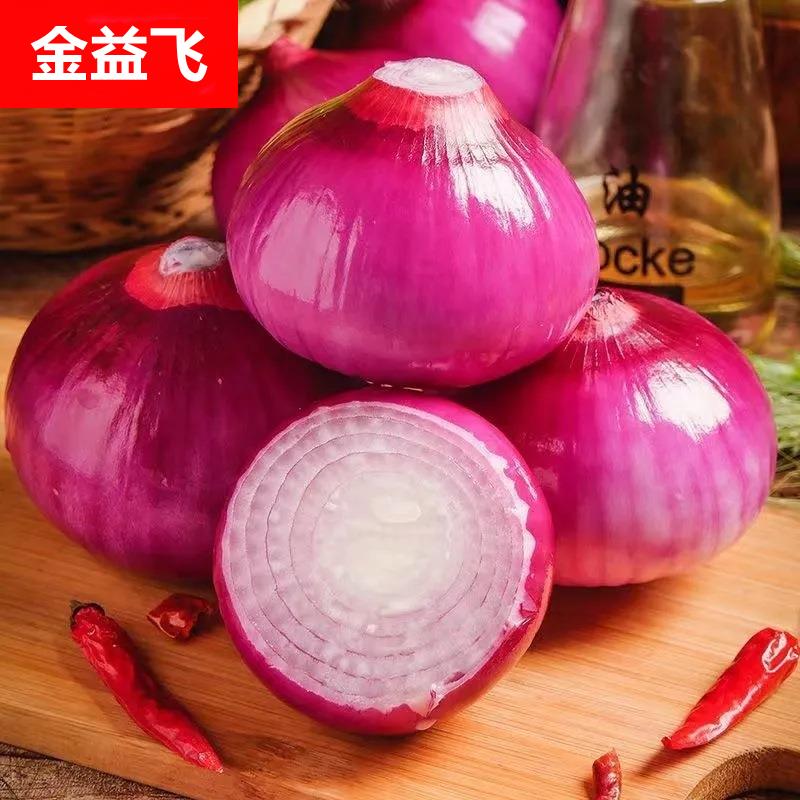 现摘水果洋葱紫皮圆葱新鲜蔬菜农家甜味生吃红洋葱水果包邮