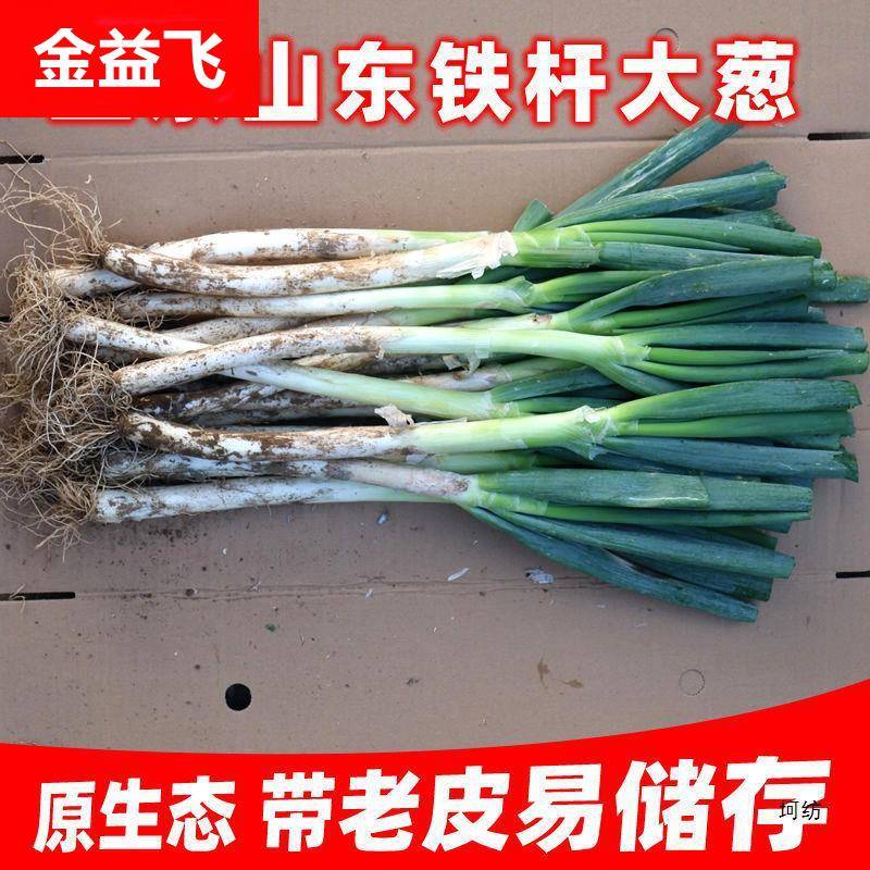 山东大葱新鲜甜葱级5/9斤铁杆大葱非章丘长白毛葱蘸酱嫩葱包邮
