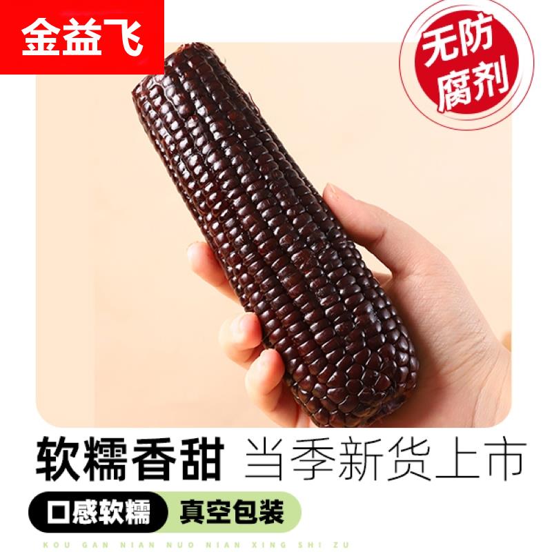 2024东北玉米黑糯玉米新鲜现摘黏甜软黄糯苞米粒粘真空装即食早餐