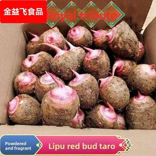 荔浦红芽芋小芋仔毛芋头小香芋牛奶芋仔农家蔬菜早餐粗粮粉糯香甜