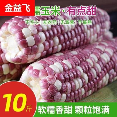广西花糯玉米新鲜现摘带皮生的软糯香爆浆9斤甜玉米棒子苞谷当季