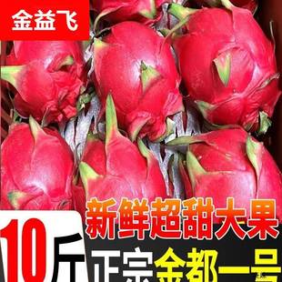广西金都一号红心火龙果10斤新鲜蜜孕妇宝红肉当季水果红龙果大果
