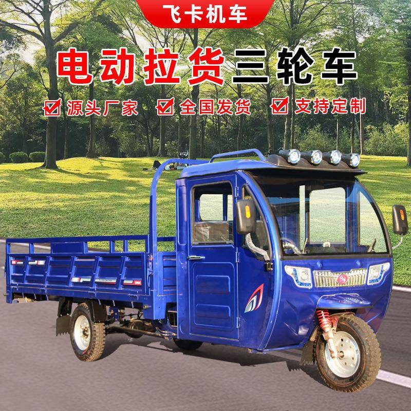电动三轮车载重拉货大功率单排封闭农用三轮爬坡厂家出口农场运输