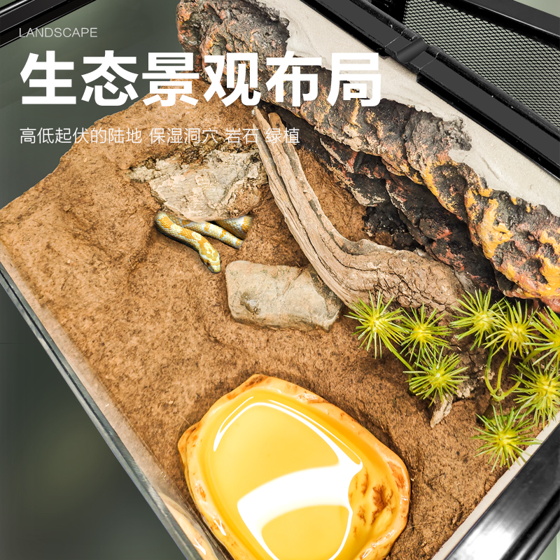 宠物蛇蛇造景玻璃饲养缸生态环境爬宠缸雨林缸水陆缸景观