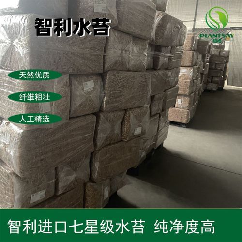 智利水苔七星苔藓蝴蝶兰花多肉土食虫植物捕蝇草龟蛇冬眠垫材5kg