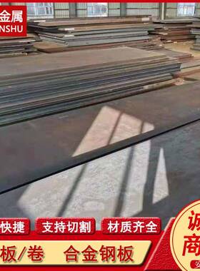 供应Q355GNH Q355NHB SPA-H 09CuPCrNi-A Q295GNH耐候钢板