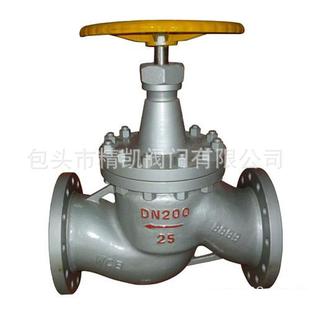 液氨天然气阀 氨用截止阀 内蒙化工化肥阀门 J41B