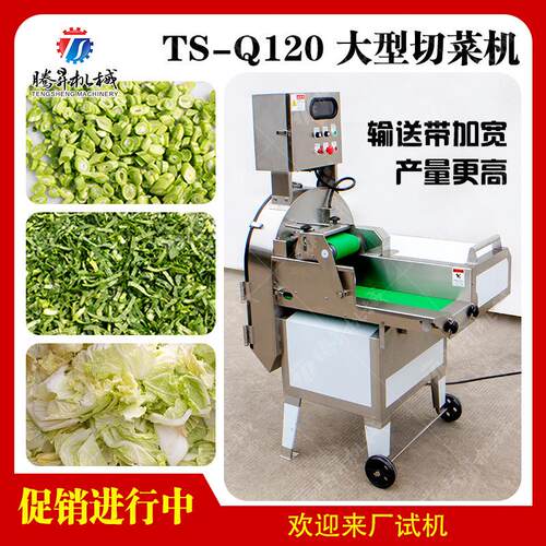 大型电动叶菜切菜机 台湾产加宽传送带切菜机 切条切片农产品加工