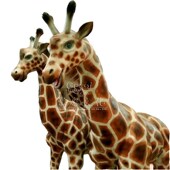 大型仿真动物长颈鹿动态模型户外景区公园动物园雕塑 形态逼真