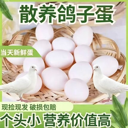 【农家散养】新鲜鸽子蛋杂粮喂养无抗养殖19-24 克大个头破损包赔