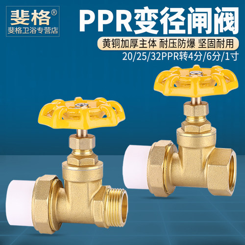 黄铜加厚PPR变径闸阀变螺纹开关