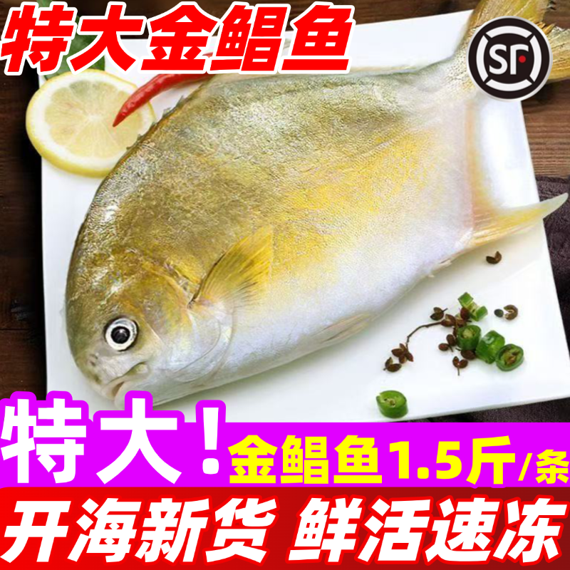 金鲳鱼超大金昌鱼鲜活冷冻鳊鲳鱼平镜鱼商用新鲜特大水产深海鱼