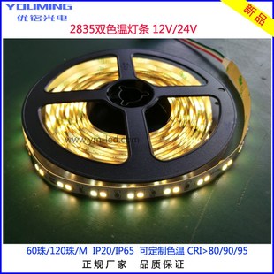 240灯 恒功率22W RA80 路暖白正白 24V 橱柜灯用2835双色温灯带