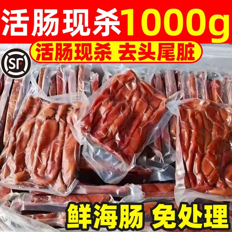 海肠新鲜鲜活速冻沙虫海肠皮大海肠捞饭免处理海鲜1000g商用水产