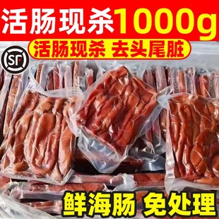 海肠新鲜鲜活速冻沙虫海肠皮大海肠捞饭免处理海鲜1000g商用水产