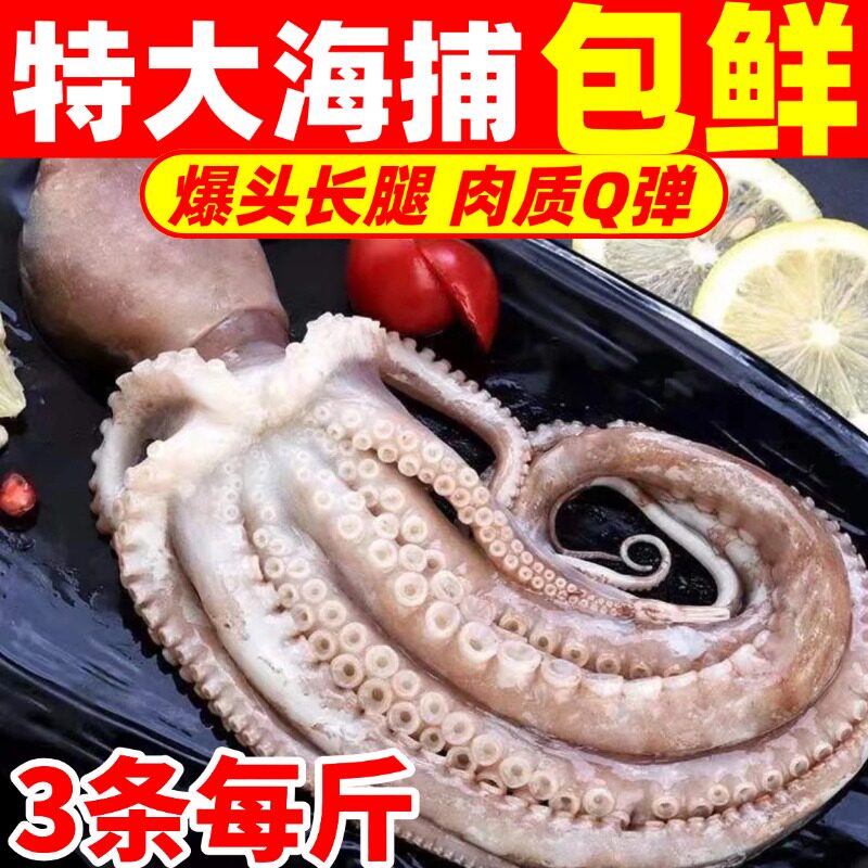 超大长腿八爪鱼新鲜活冷冻大章鱼生鲜整只网红大爆头商用海鲜水产