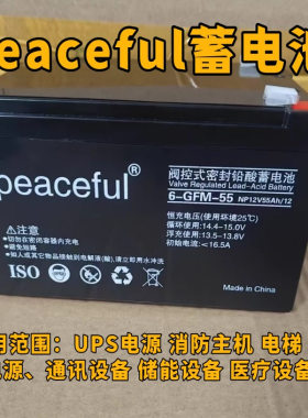 peaceful蓄电池12v55ah消防主机