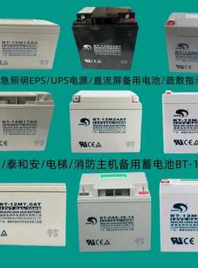 海湾GST松江利达天成泰和安消防主机UPS应急报警备用蓄电池BT-12M