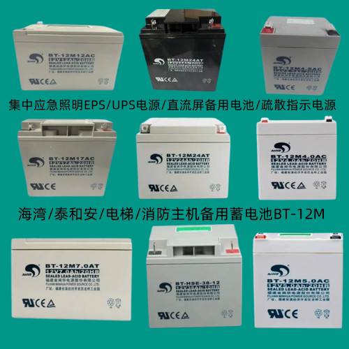 海湾GST松江利达天成泰和安消防主机UPS应急报警备用蓄电池BT-12M
