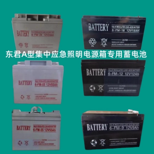 BATTERY蓄电池6-FM-18 12V18AH40A24A55AH33A东君应急照明36V电源