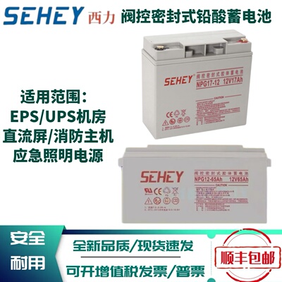 SEHEY西力蓄电池NPG-24-12V100A消防65AH55A38A24A17A9AUPS直流屏