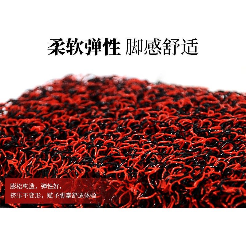 适用于九号Fz MIX专用丝圈脚垫9号电动车FZMIX踏板垫电摩FM脚踩垫