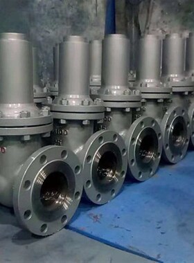 FDZ45W-16C DN300法兰暗杆防盗闸阀不锈钢楔式闸阀