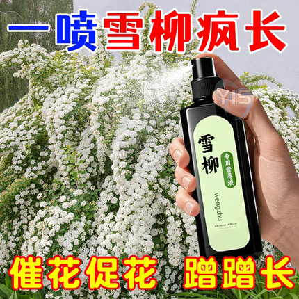 雪柳专用营养液龙柳发芽水培植物促生根肥料室内绿植雪花养花肥料