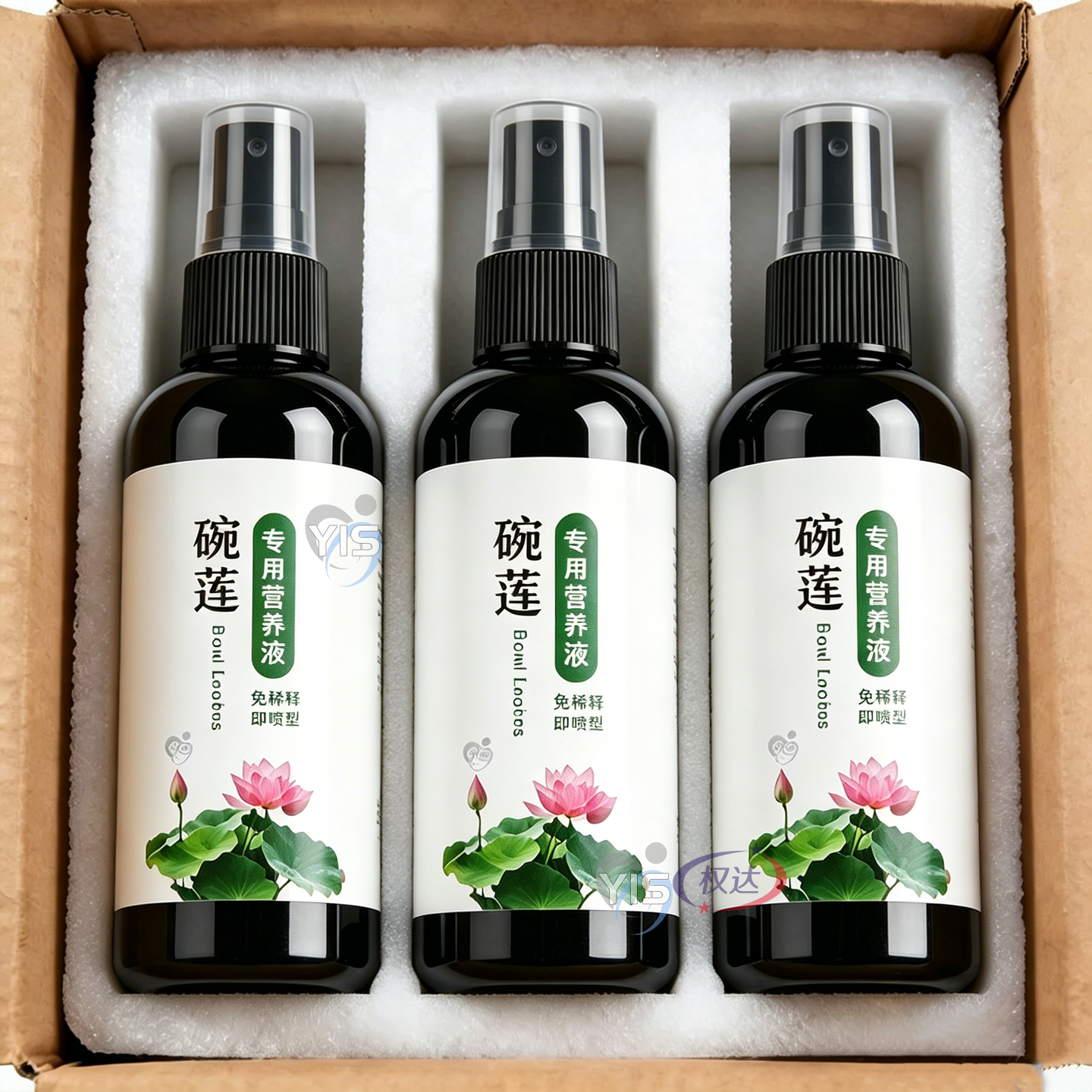 碗莲滋养液补充养分叶片油绿