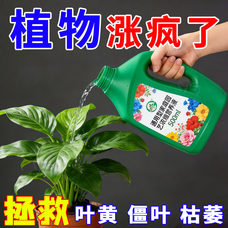 超浓缩植物营养液花肥通用型绿植花卉盆栽绿萝水培多肉发财树肥料,鲜花速递/花卉仿真/绿植园艺,介质/营养土,淘宝优惠券,粉丝福利购,淘宝优惠卷
