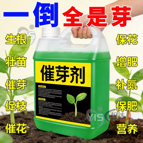老桩催芽剂花卉营养液促芽僵苗快速发新芽防黄叶生根催芽绿植通用