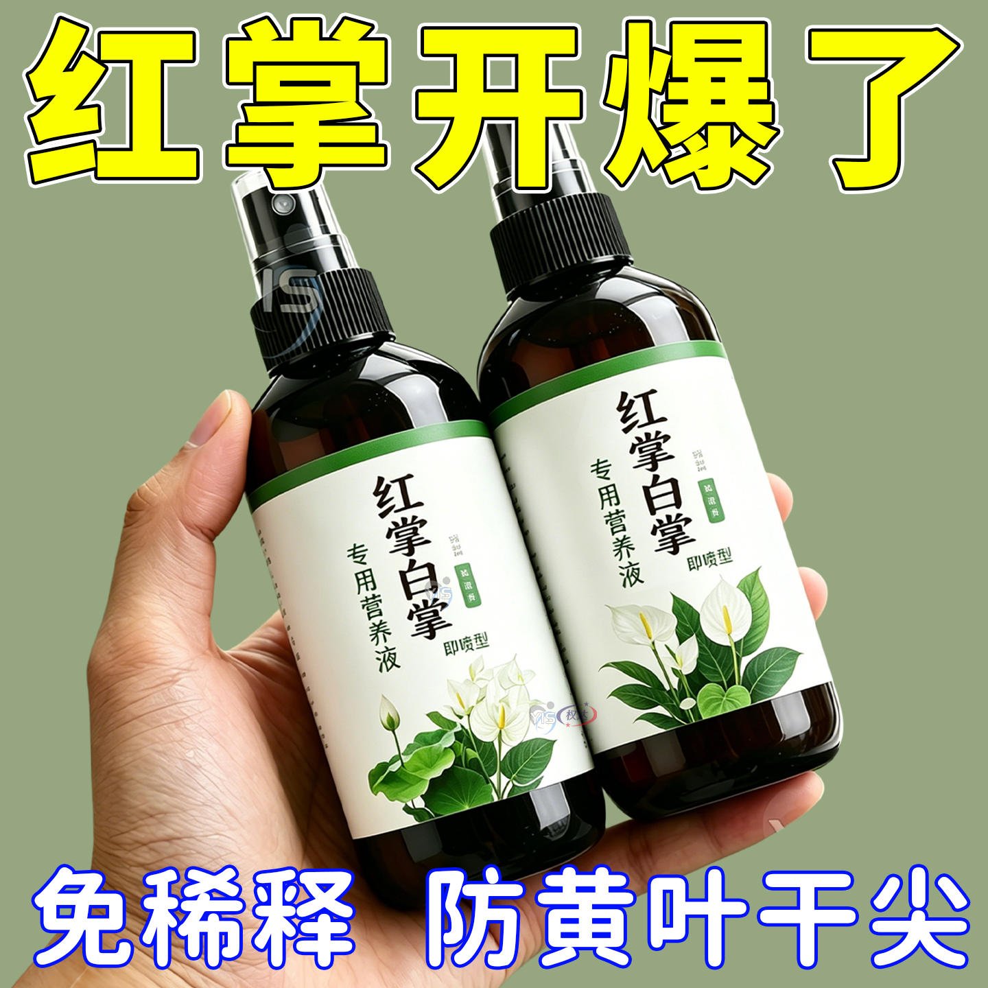 红掌白掌专用营养液促开花延花期壮根助生长抗病害免稀释液体肥料