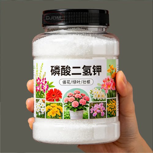 磷酸二氢钾水溶肥促花芽孕蕾开花