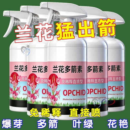 免稀释兰花多箭素促箭开花不费劲