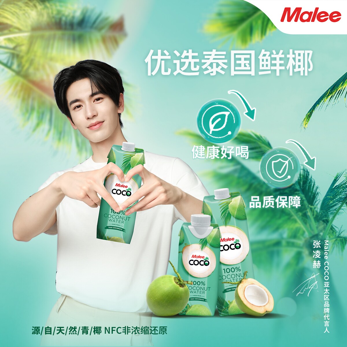 Malee COCO 玛丽泰国进口椰子水 1L 330ML 100%纯椰子水 椰青椰汁
