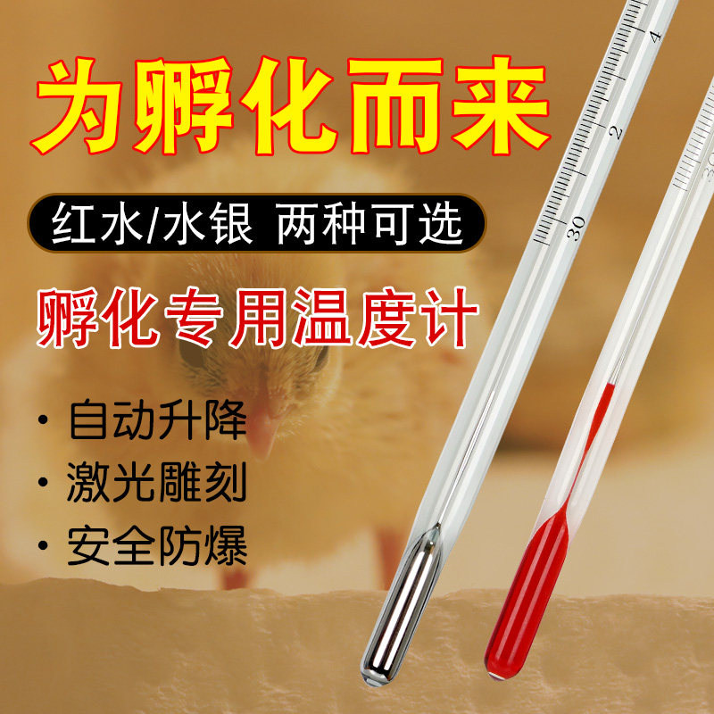 孵化温度计精密水银孵化孵化箱养殖精度孵化器育雏专