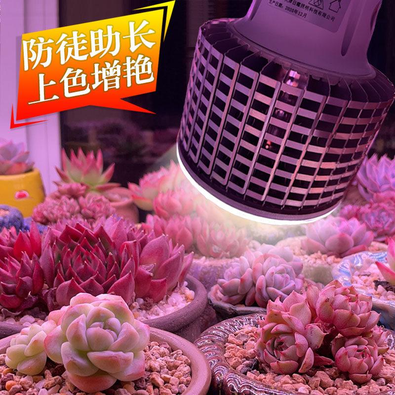 大棚多肉补光灯兰草卉上色全光谱仿太阳生长灯泡
