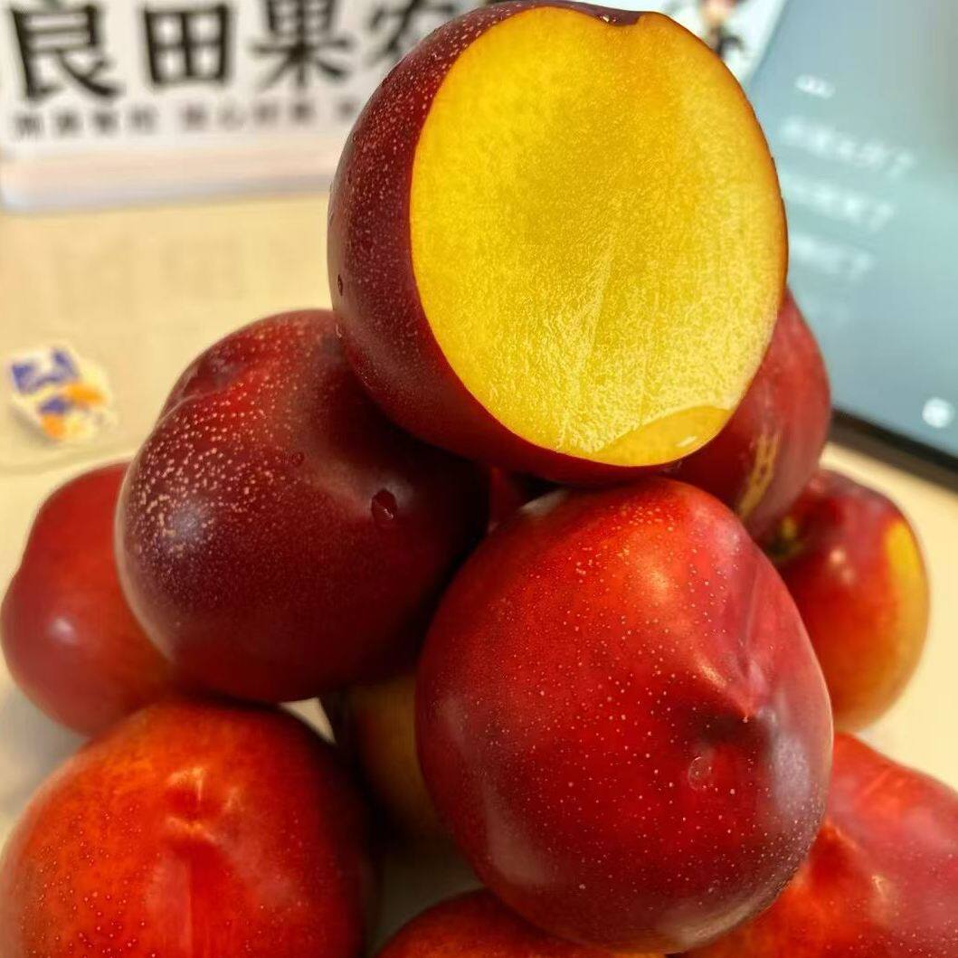 辽宁大连红皮麻脸油桃水果当季红皮黄肉油桃子黄心整箱顺丰包邮