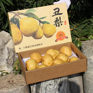 山东烟台太婆梨丑梨新鲜水果当季中华丑梨啤梨软糯甜香梨整箱包邮