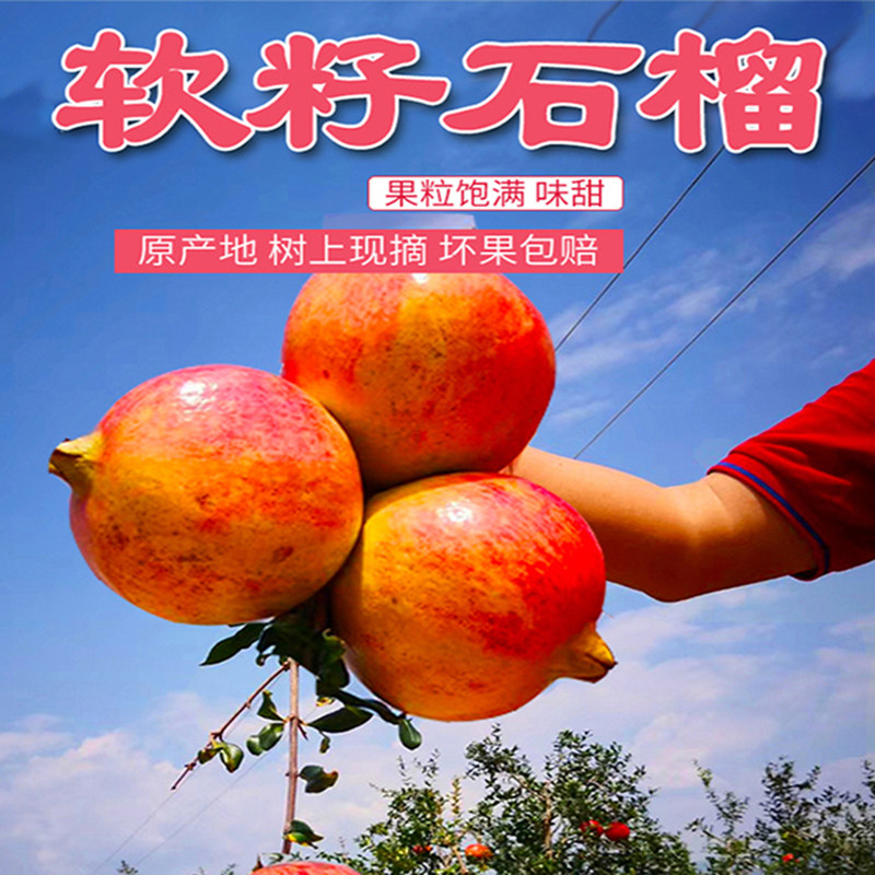 具有绿色食品+有机认证+地标认证