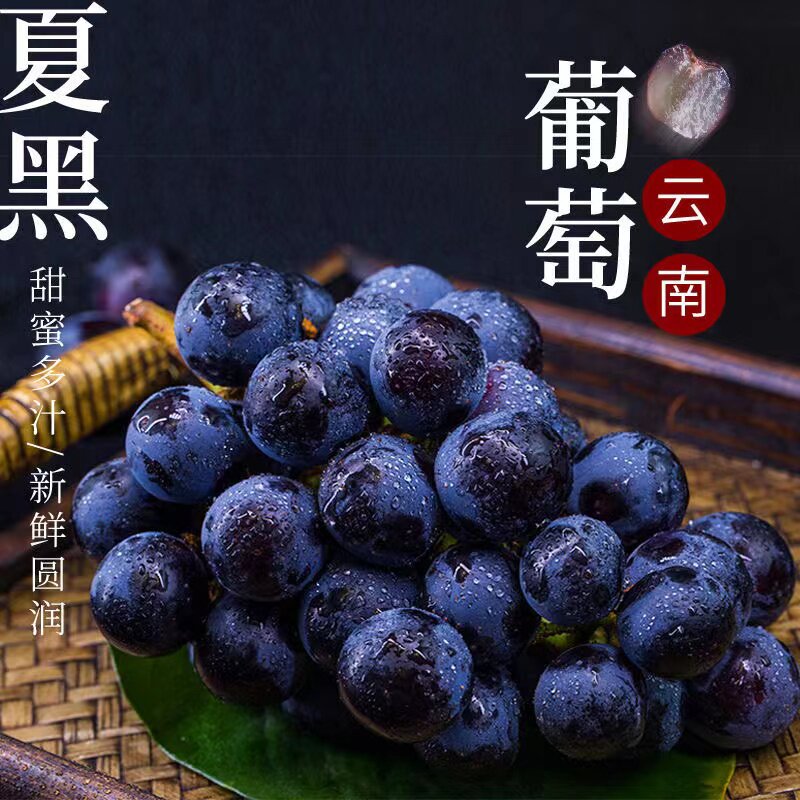 云南夏黑葡萄新鲜水果无籽黑提当季葡萄顺丰包邮