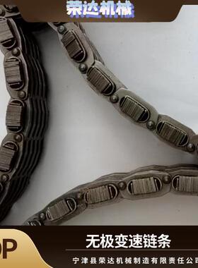 PIV系列无级变速链条PIV-A4PIV-A0PIV-A1PIV-AL0L2PSR1