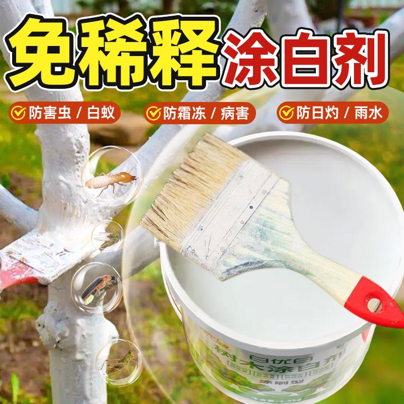 防虫涂白剂树干树木果树专用防虫杀菌防寒霜冻盆景大树刷白通用型